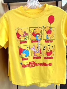 Disney Park Winnie the Pooh Panel Graphic Tee